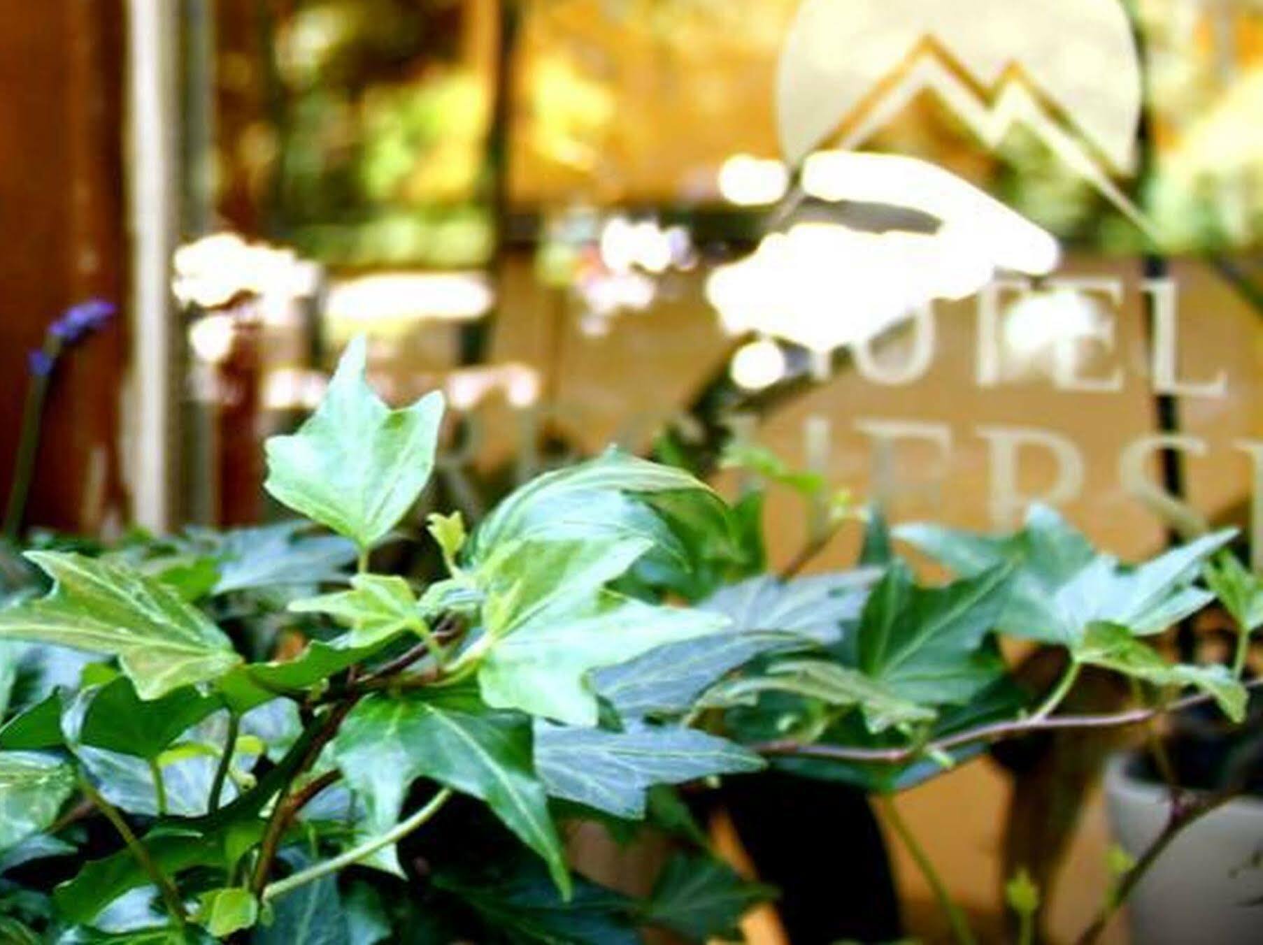 Hotel Brecherspitze Munich Exterior photo